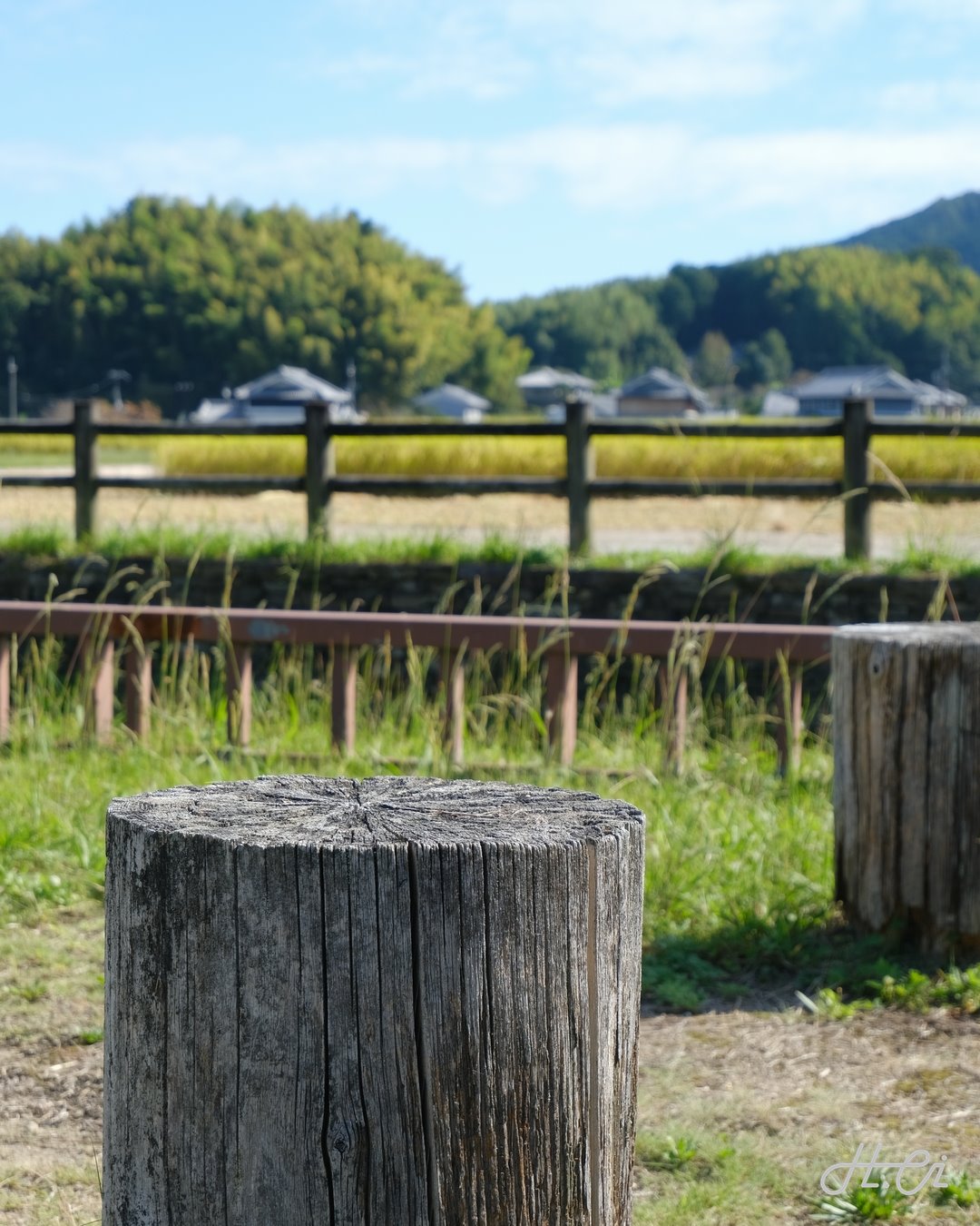 飛鳥水落遺跡の柱