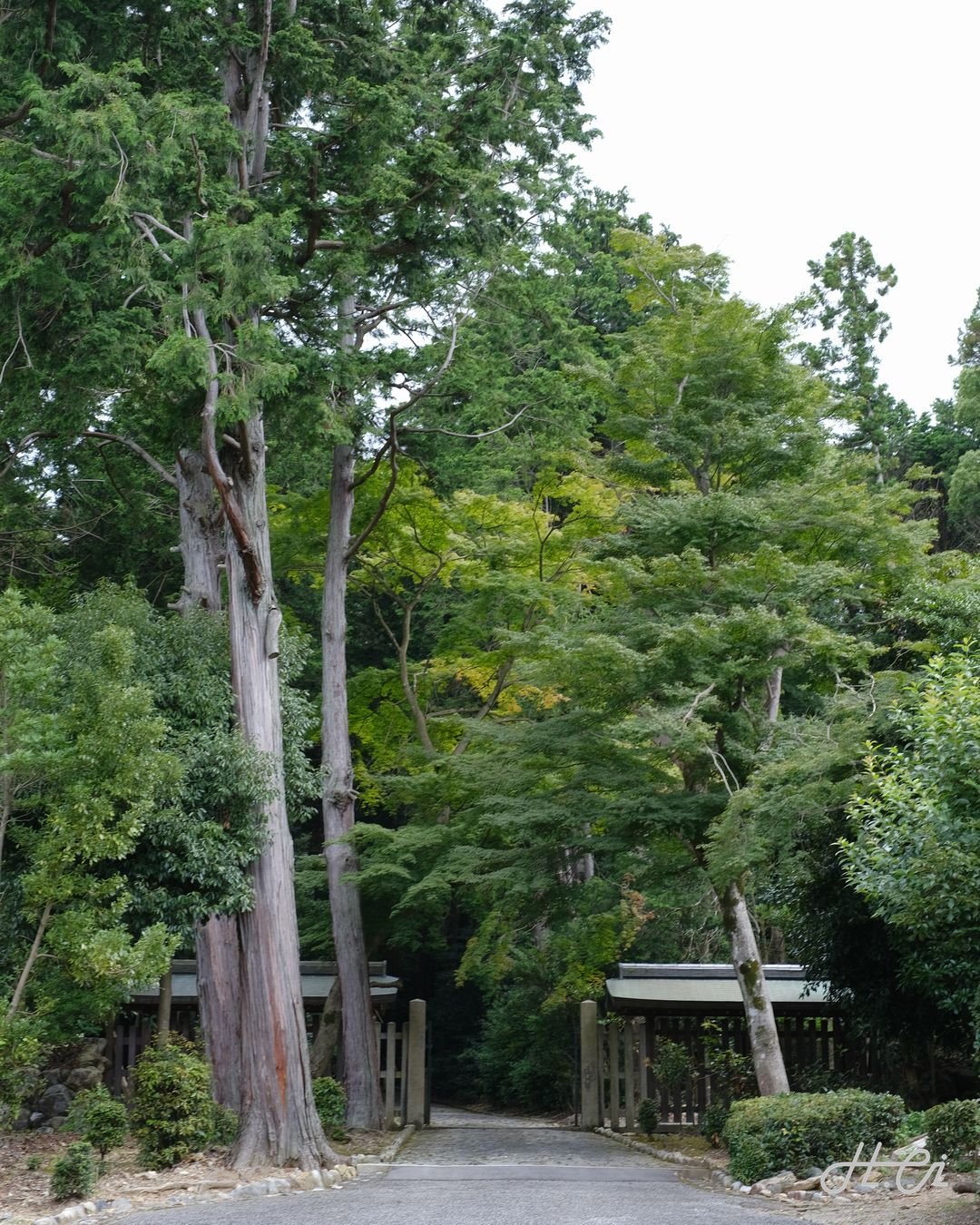 天智天皇陵参道入口